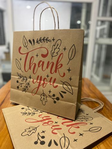 Paper Carry Bags Pack Of 100 Pcs